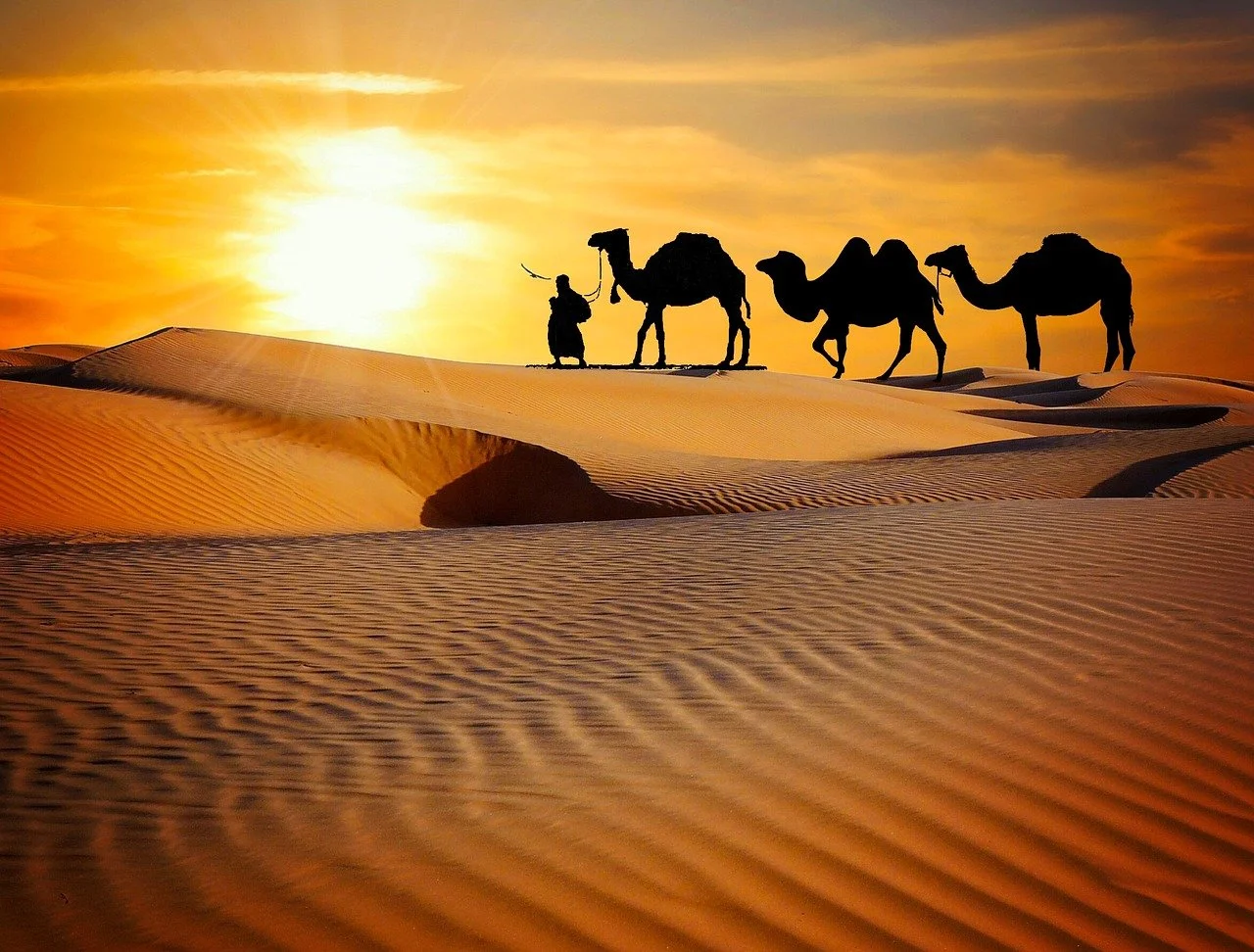 rajasthan tour